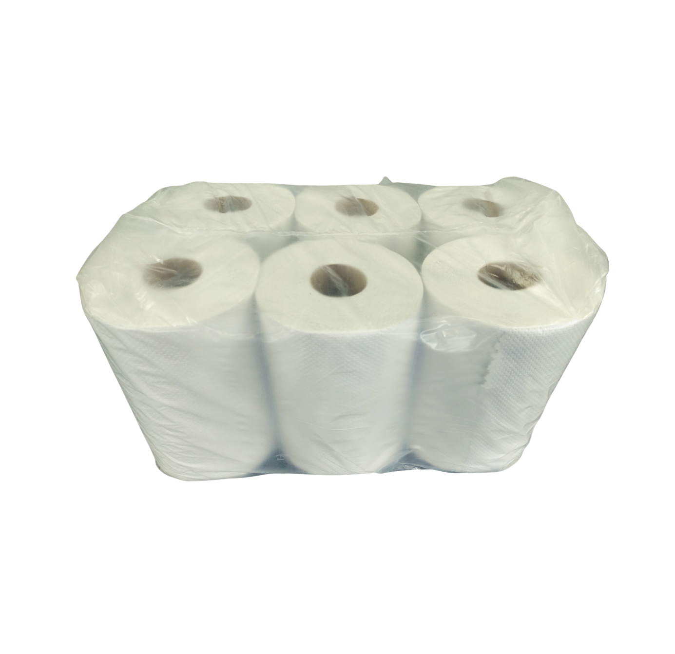 5 PAPEL TOALLA 6 X 100